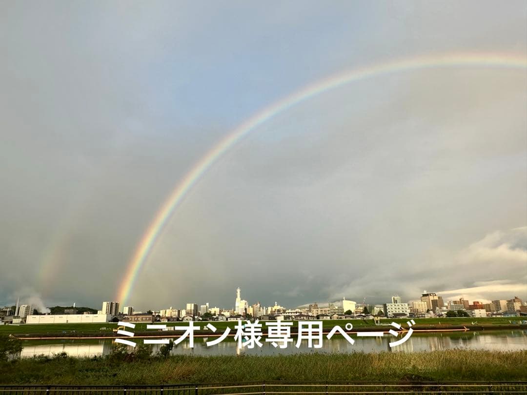 ミニオンページ ウォレットチェーン