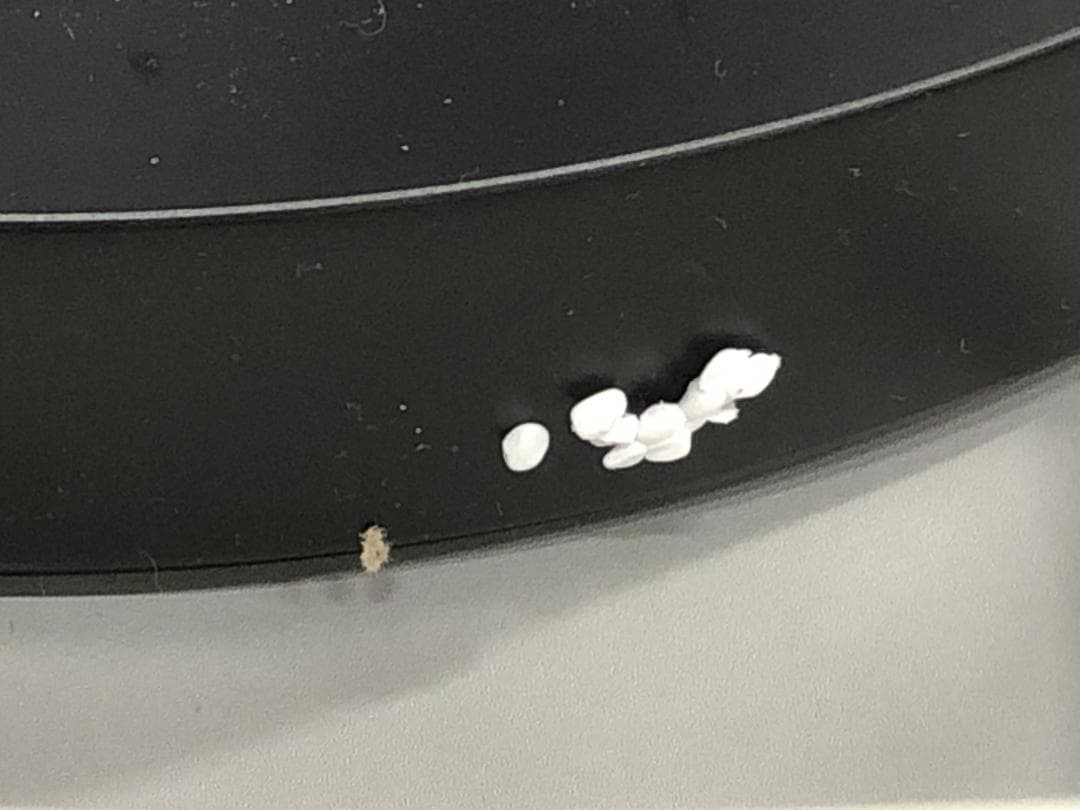 ほぼ未使用　ダイキン セラム ヒート 遠赤外線暖房機