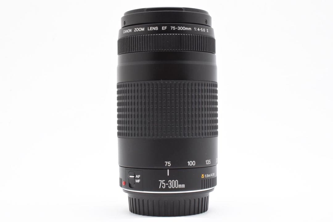 望遠レンズ　 CANON EF 75-300mm F4-5.6 II