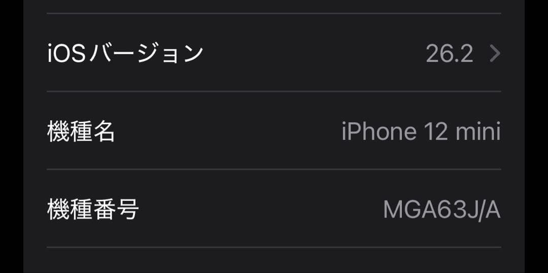 iPhone12 mini 本体のみ