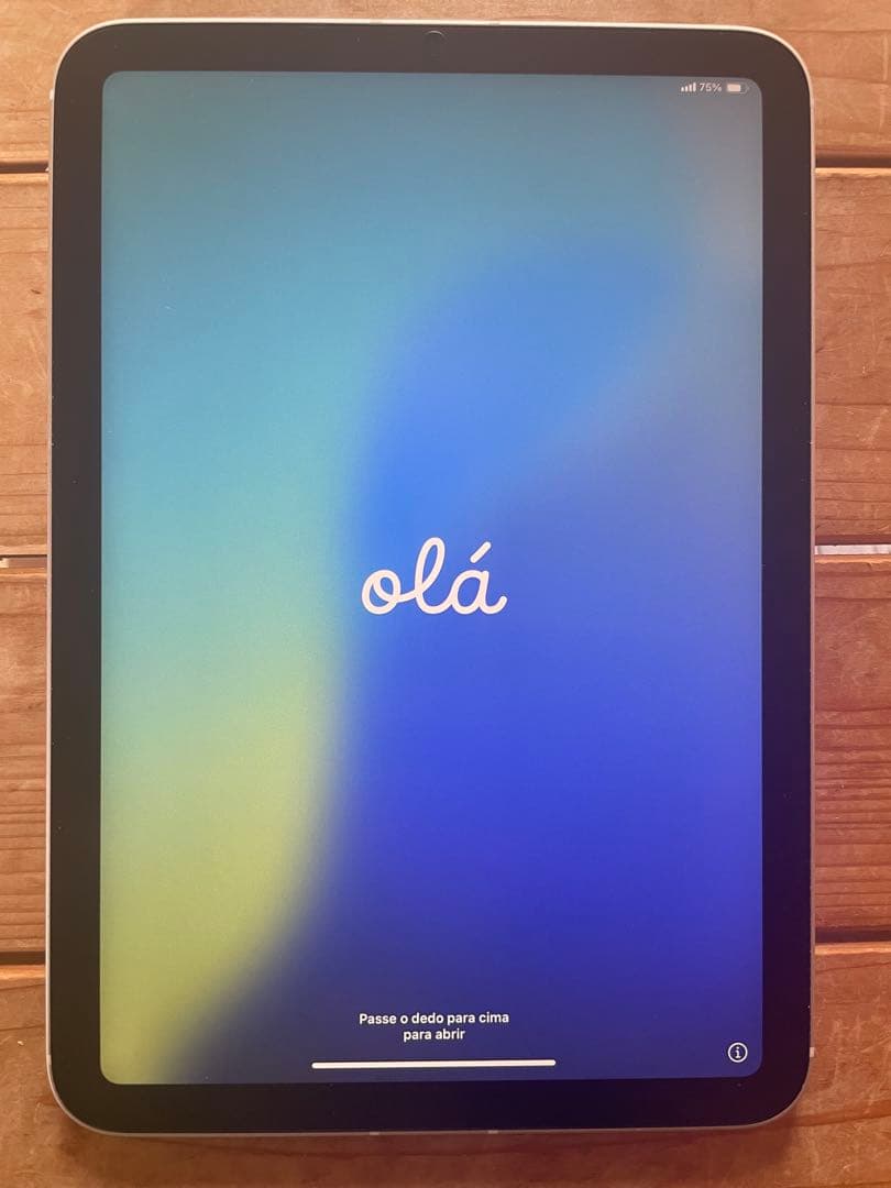 iPad本体 Apple iPad mini 6 Wi-Fi Cellular 64GB