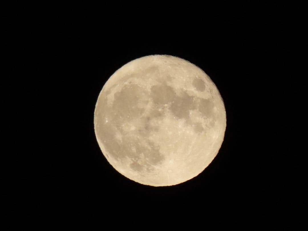 デジタルカメラ CANON PowerShot SX70 HS