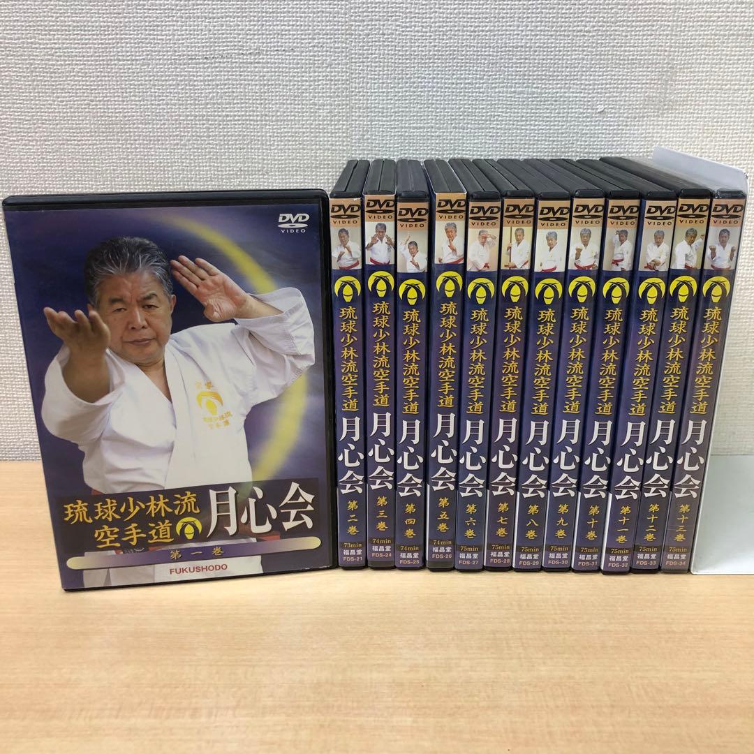 専用 M1109A 琉球少林流空手道 月心会 第一巻〜十三巻 DVD 13本