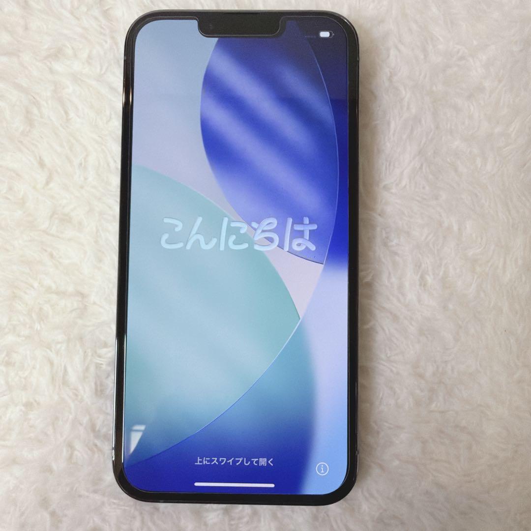 iPhone13Pro 256G 美品　純正バッテリー100% SIMフリー