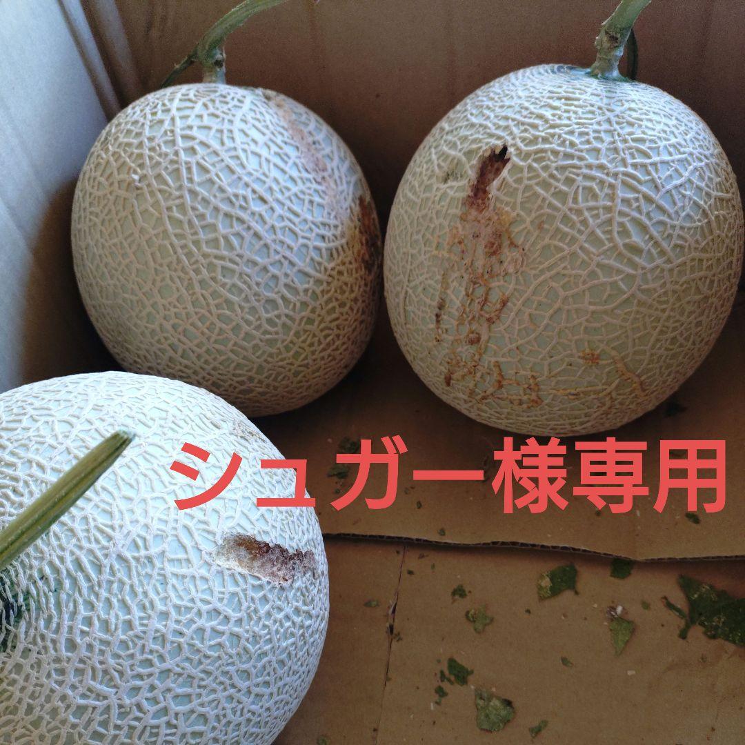 高知産メロン3個セット訳あり