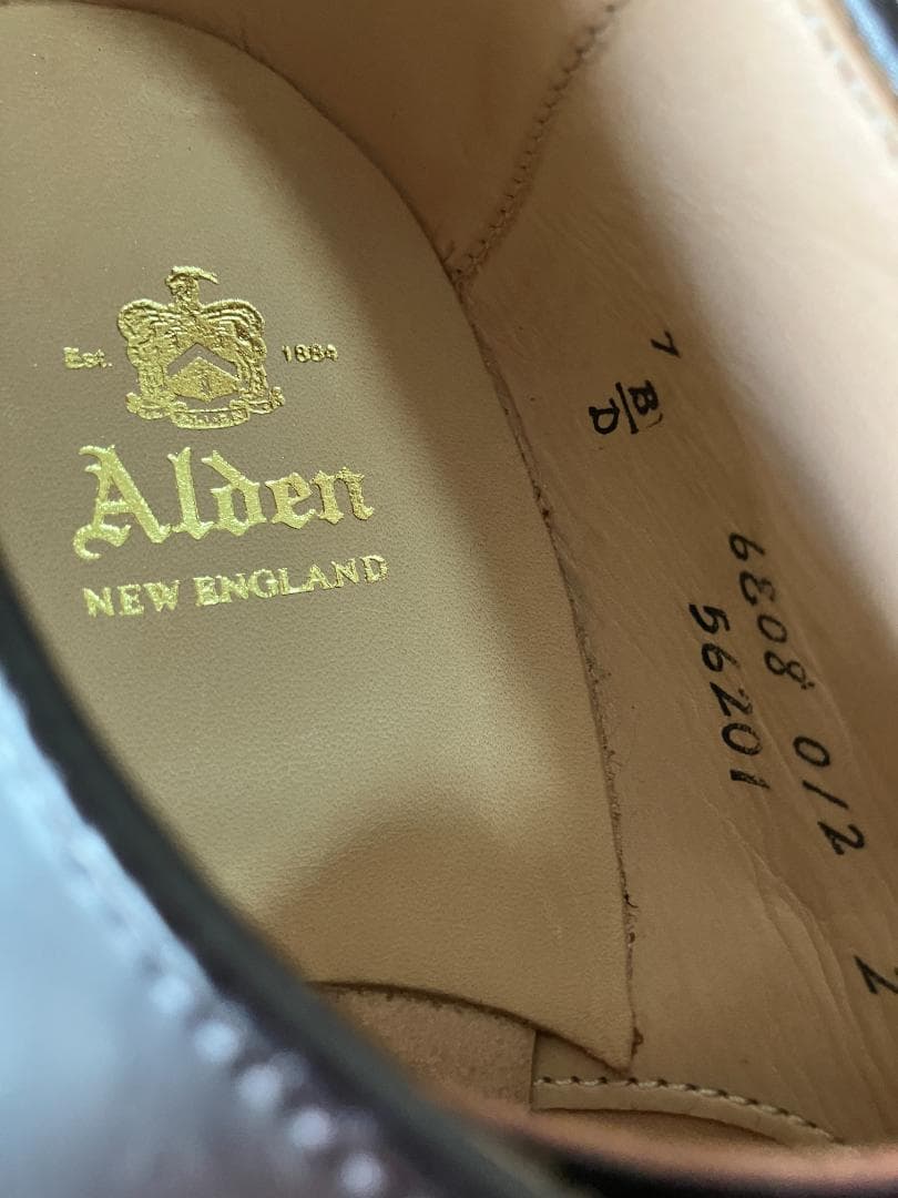 ALDEN オールデン 56201 パンチドゥキャップトゥ　7D