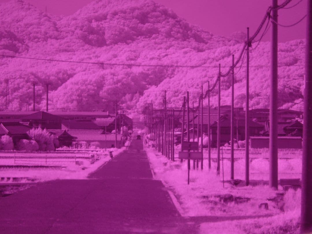 【赤外線改造＋オマケ】LUMIX FZ50 【２月末まで！】