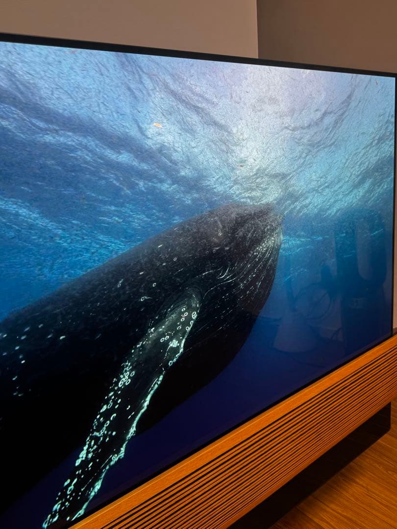 【ec09085 】Bang & Olufsen Eclipse 55型