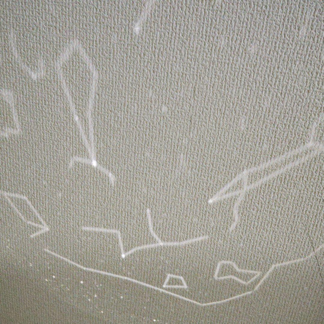 STAR PRO 2nd edition　ホームスター　プロ