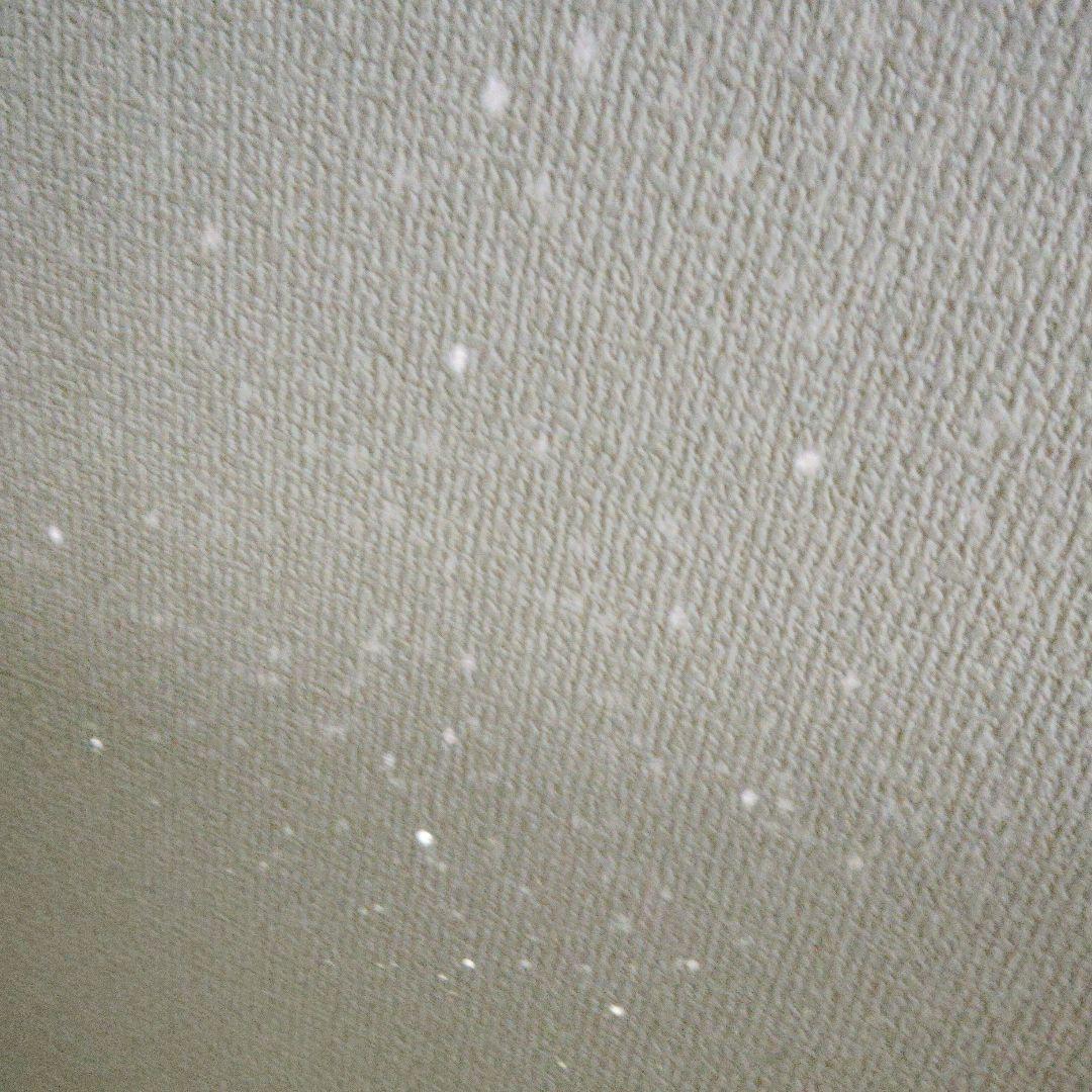 STAR PRO 2nd edition　ホームスター　プロ