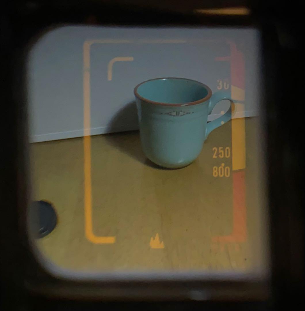 ヤシカ　ハーフ17 作例あり