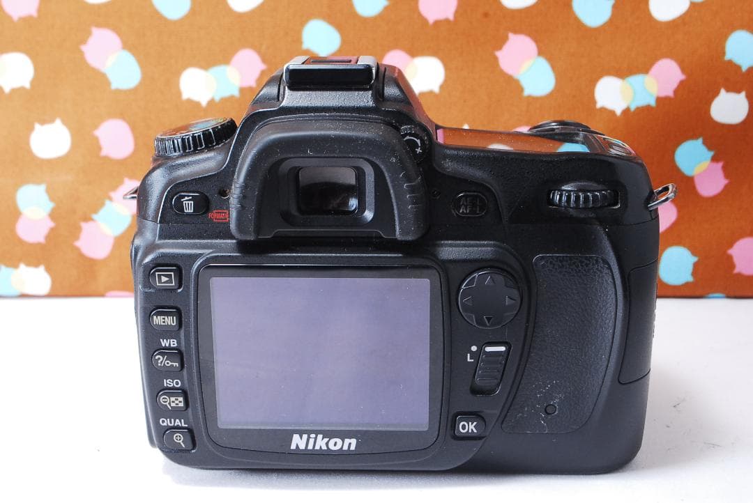 ✨初心者オススメ✨届いてすぐ使える✨Nikon D80 レンズセット