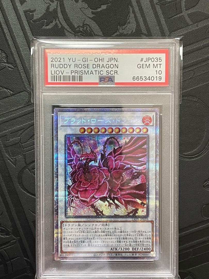 PSA 10 遊戯王 ブラッド・ローズ・ドラゴン プリシク GEMMINT
