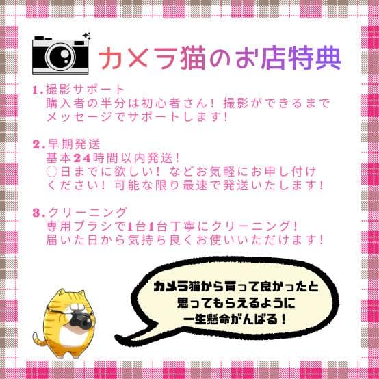 ✨ショット数5056回✨お安くデビュー✨Nikon D70 レンズセット