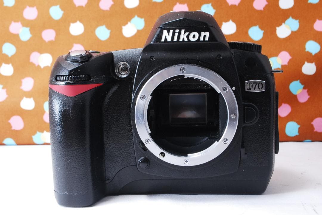 ✨ショット数5056回✨お安くデビュー✨Nikon D70 レンズセット