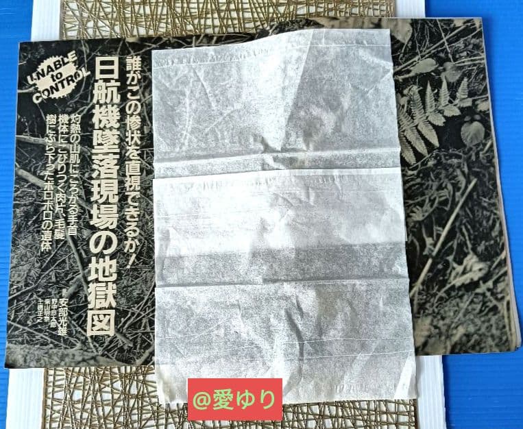 ♦日航ジャンボ機墜落事件❄️関連誌全５冊⭐御巣鷹山⭐事故調⭐ボイスレコーダー