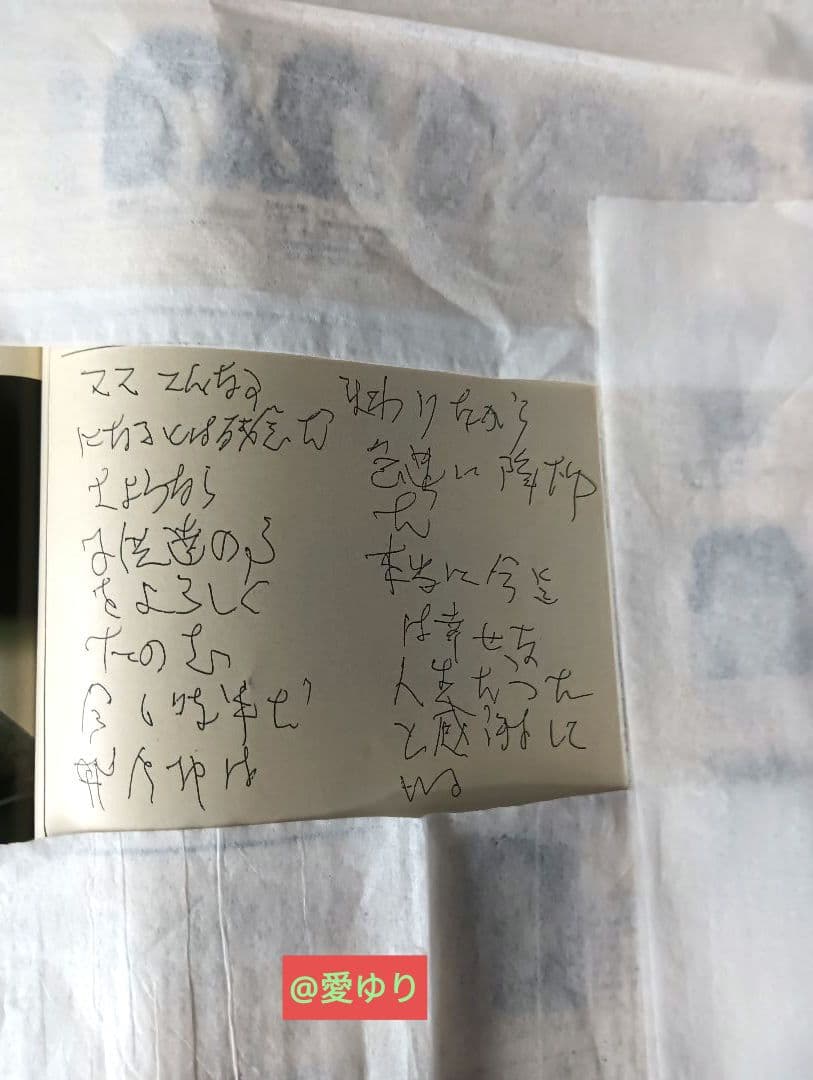 ♦日航ジャンボ機墜落事件❄️関連誌全５冊⭐御巣鷹山⭐事故調⭐ボイスレコーダー