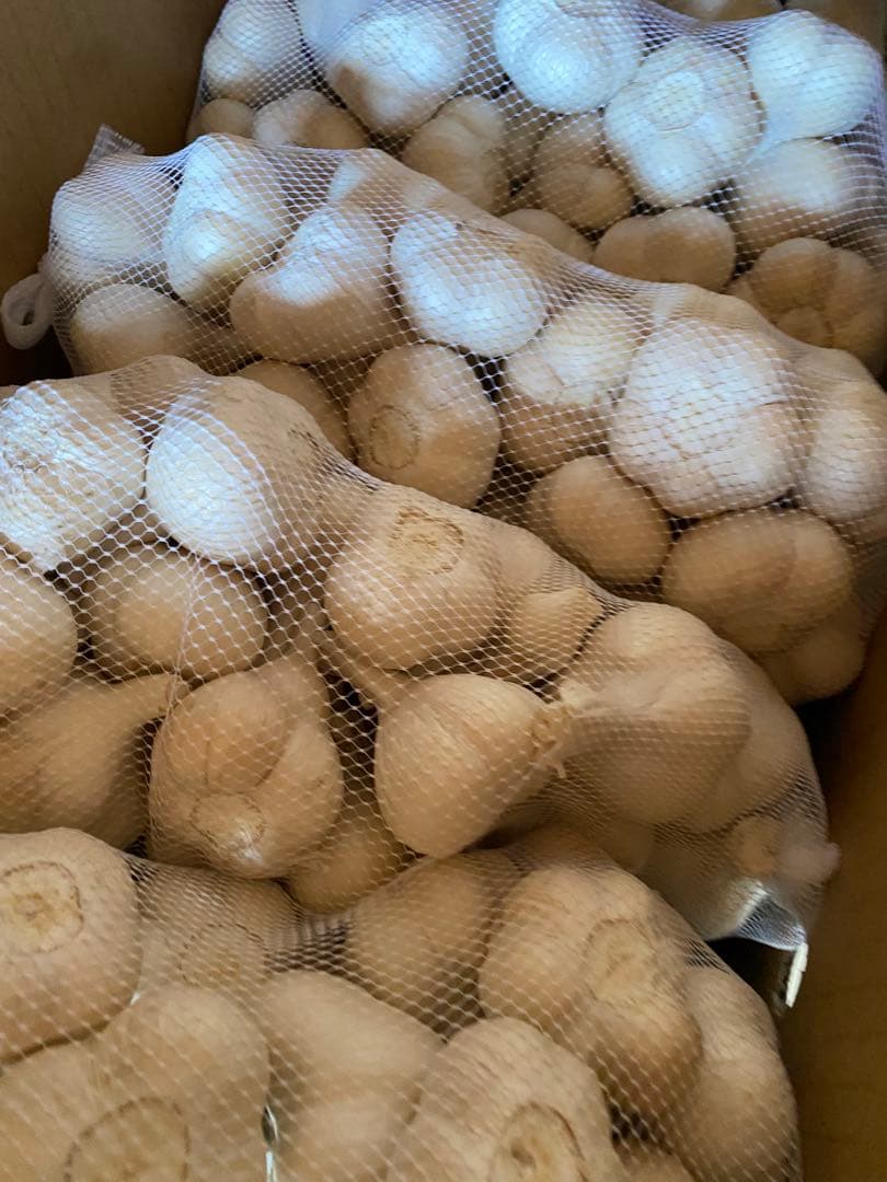 新物　青森県にんにく20Kg M 早い者勝ち