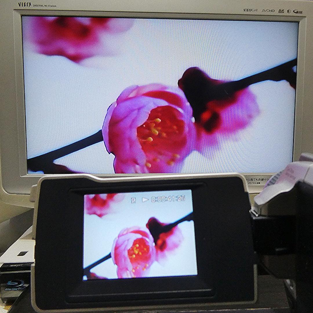 動作品ソニー DCR-TRV18 MiniDVビデオカメラ　DVDダビングに最適