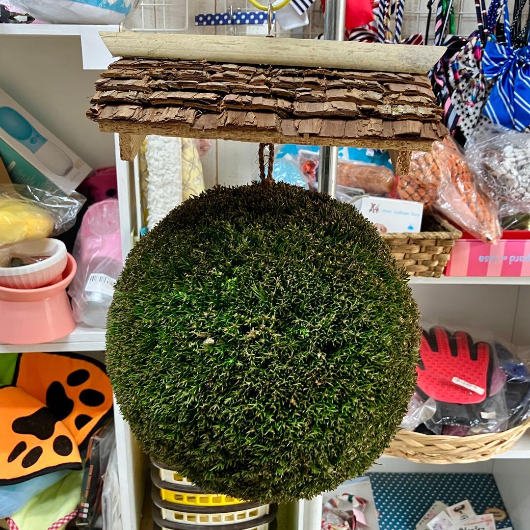 杉玉【屋根付き】③