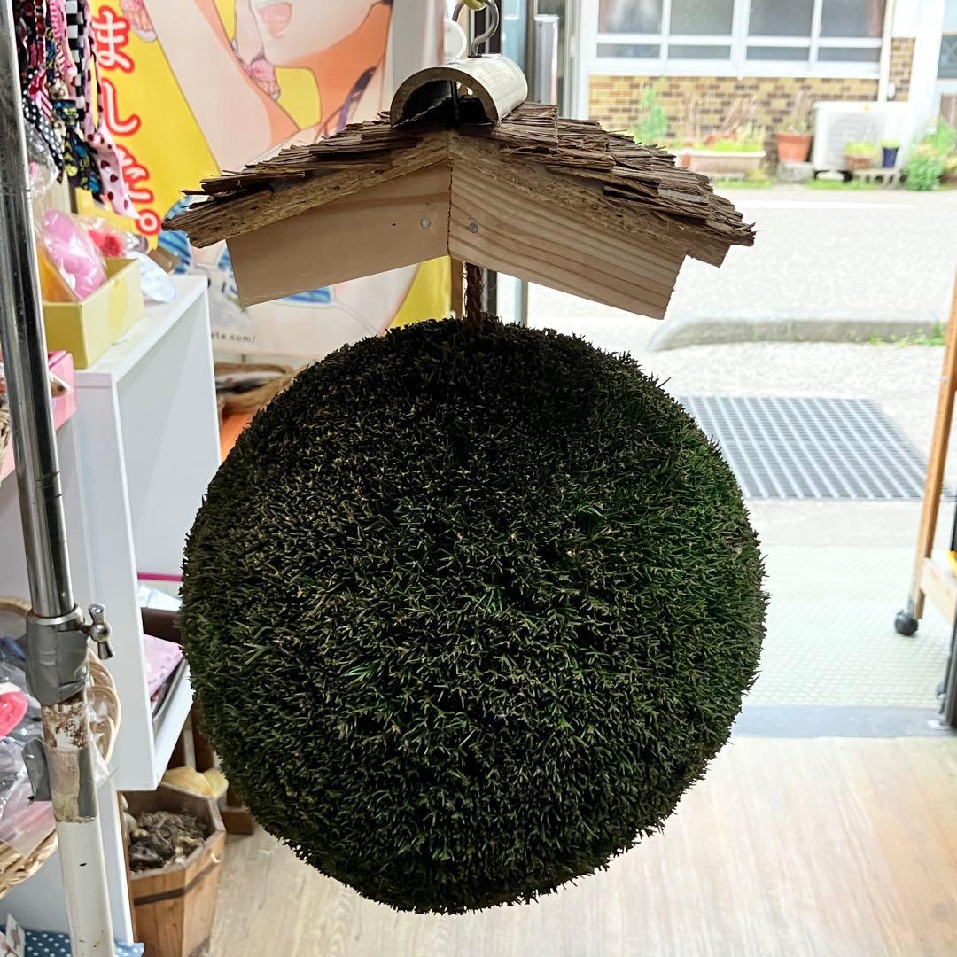 杉玉【屋根付き】③
