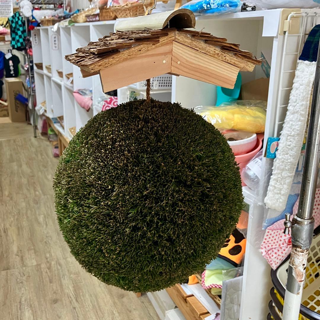 杉玉【屋根付き】③