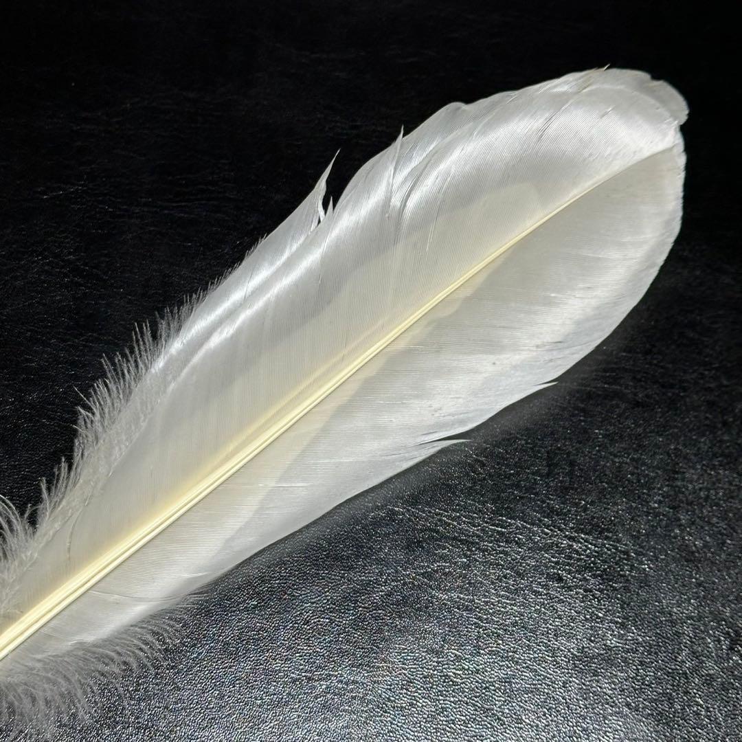 c*o様 ★茶道具！三ツ羽 白鳥緒羽！『山本 竹裕斎』作！共箱/紙箱付！★