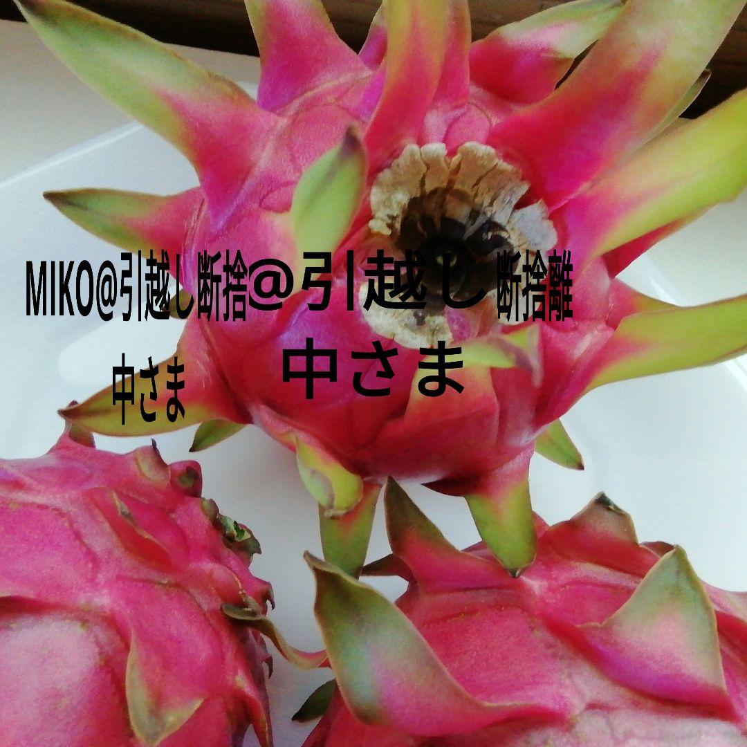 MIKO@引越し断捨離中さま専用　20kg