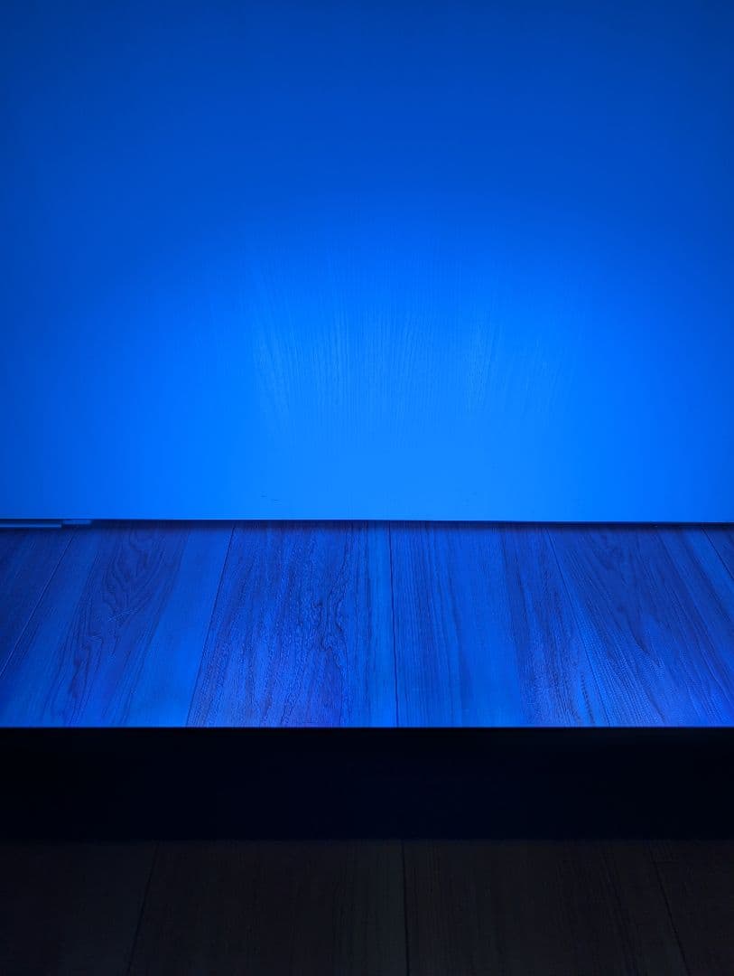 Grassy Wing 2 60cm LEDライト 淡水・海水両対応 アプリ制御