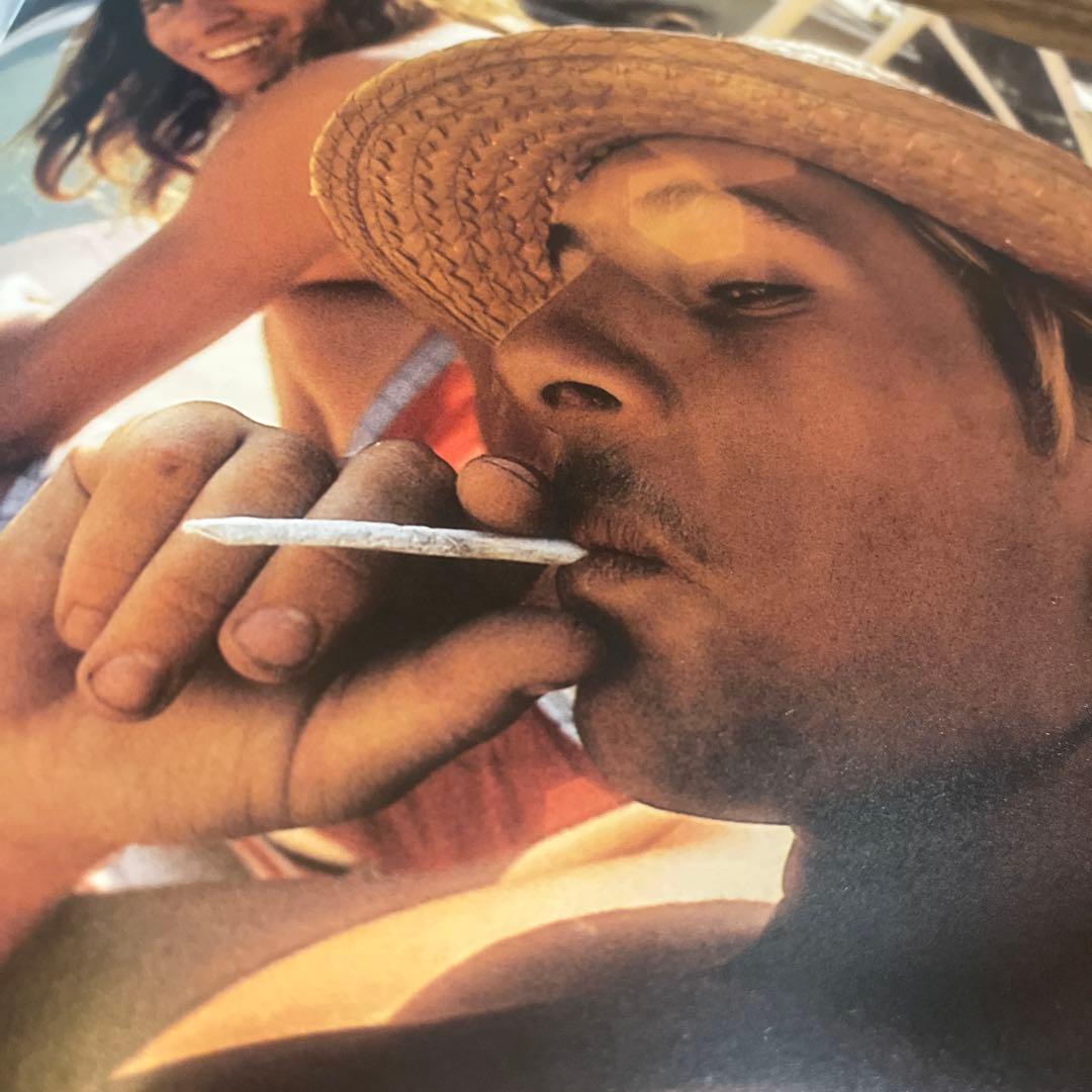 洋書 DogTown - The Legend of the Z-Boys