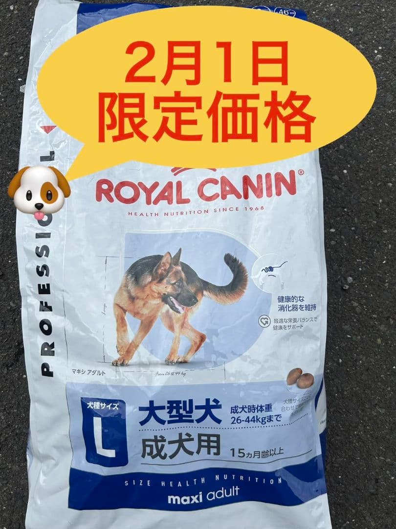 ロイヤルカナン　マキシアダルト　大型犬　16キロ