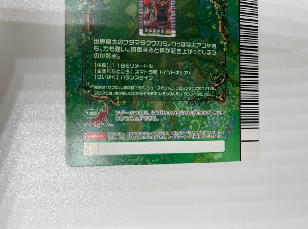 ムシキング　五周年　マンティスフタマタクワガタ