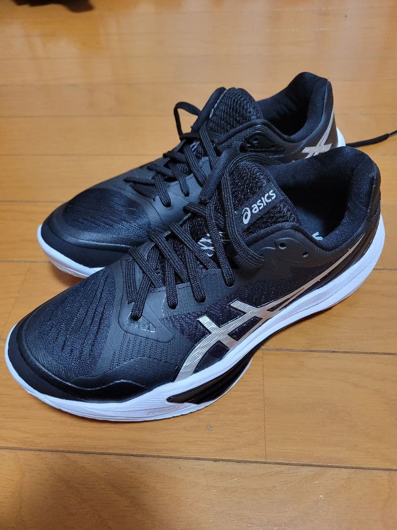 asics バレーボールシューズ 25.0cm