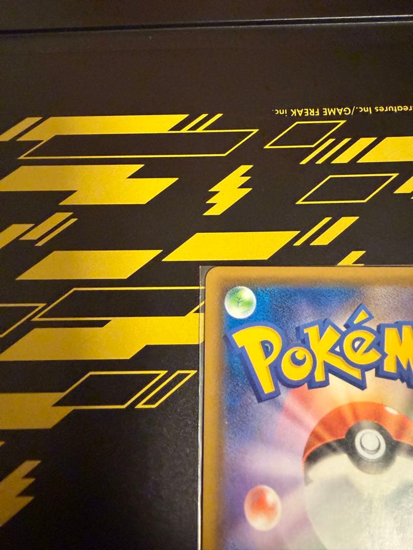 救助隊DXのピカチュウ