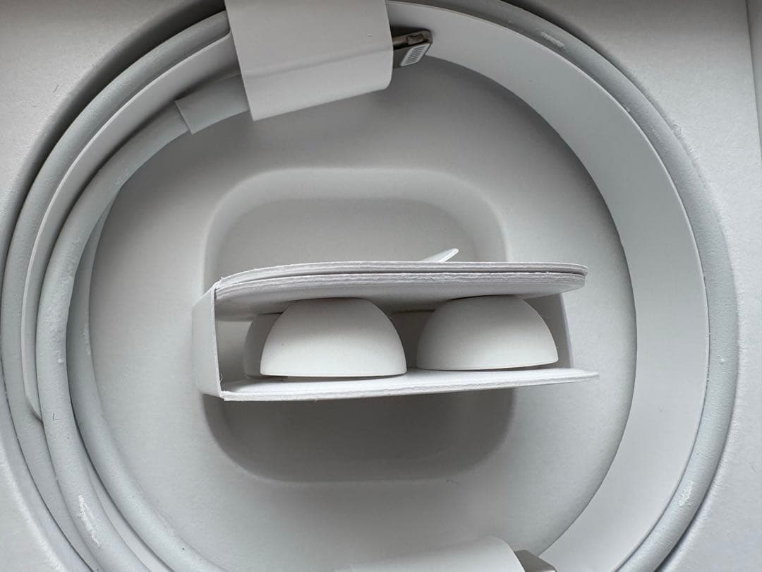 【正規品】AirPods Pro（第1世代）本体 箱・附属品付