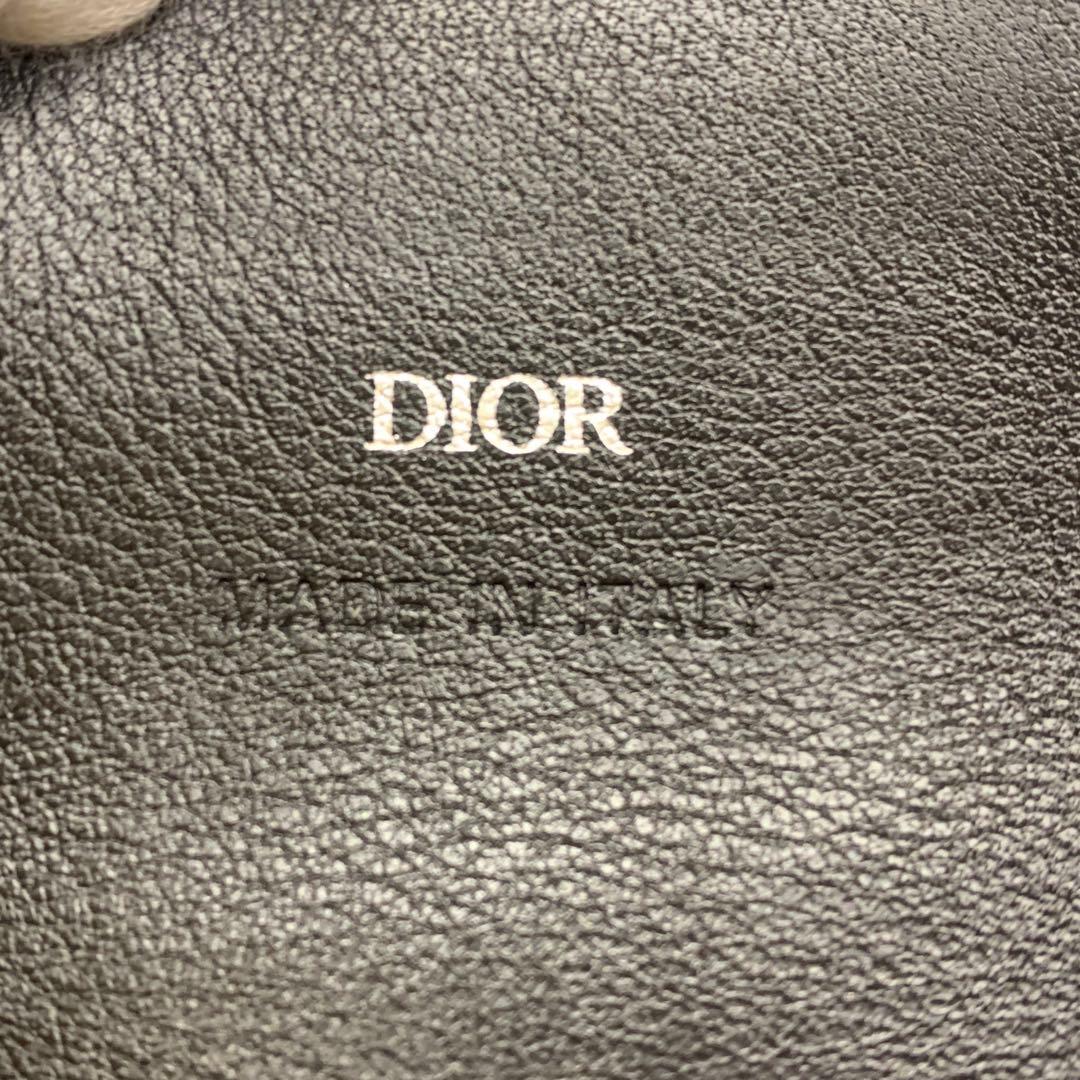 CBA13-28 クリスチャン ディオール AirPods Proケース