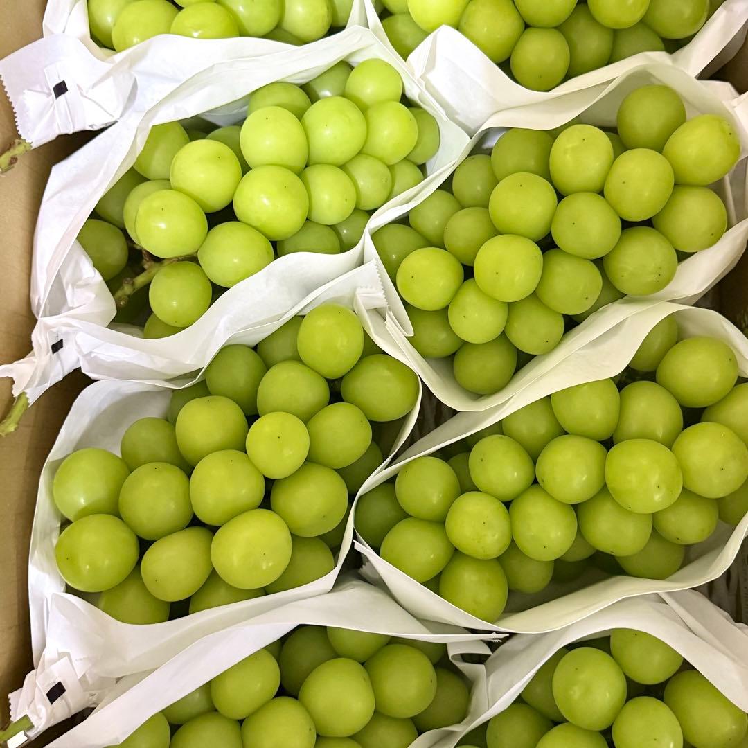 【山梨県産】シャインマスカット 5kg 産地直送