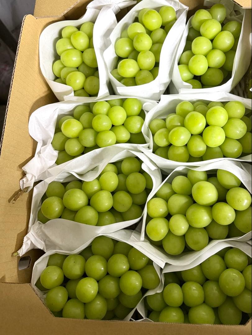 【山梨県産】シャインマスカット 5kg 産地直送