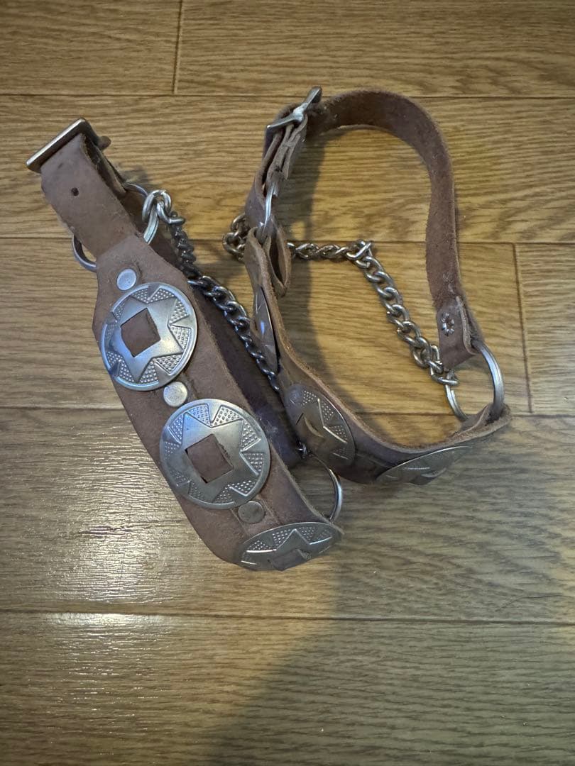 長渕　剛　着用モデル！　パイソン柄　入手困難