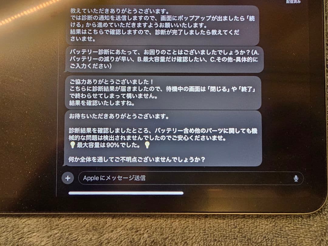 ipad pro12.9 256G WiFi 第5世代&Apple Pencil