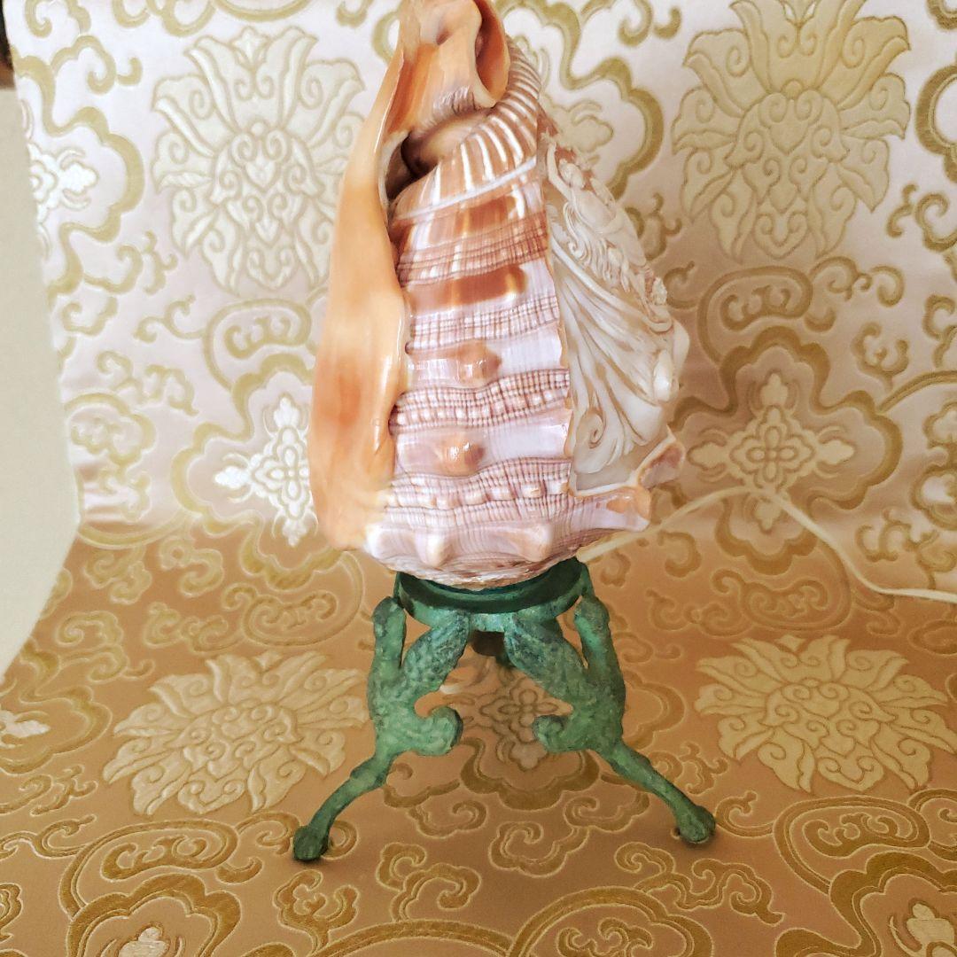 シェルカメオランプ