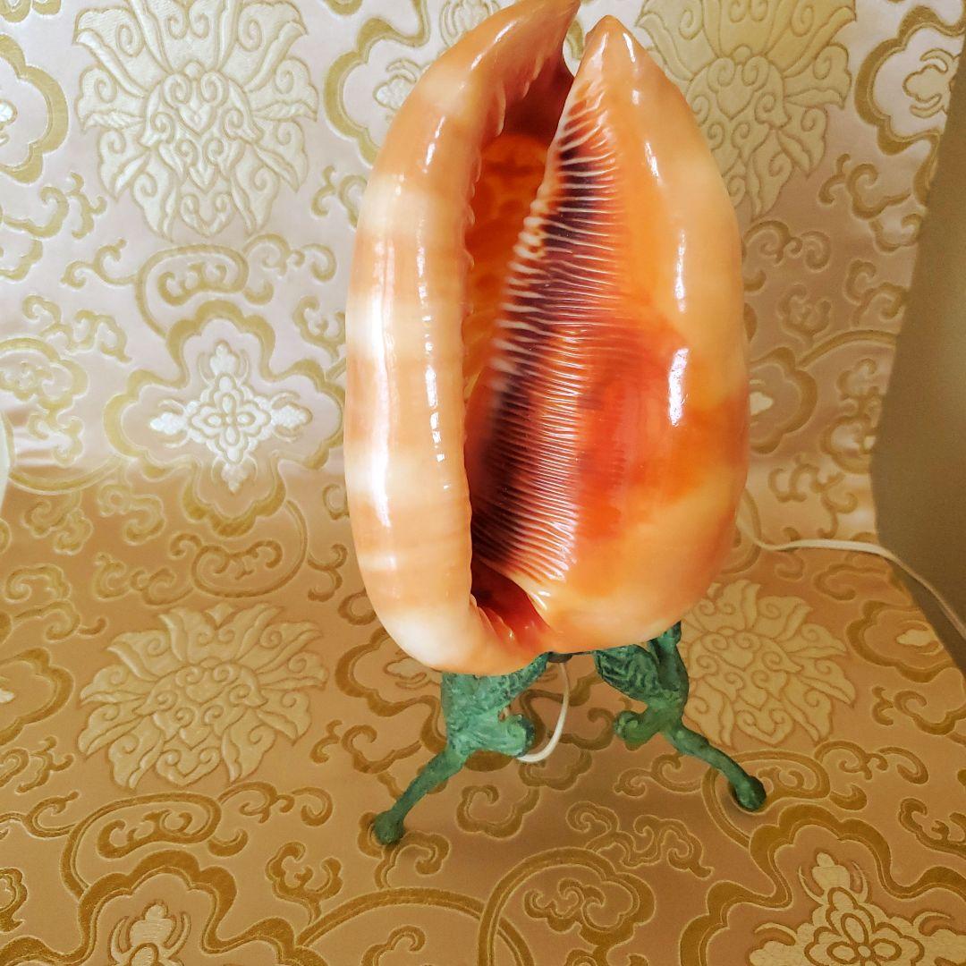 シェルカメオランプ