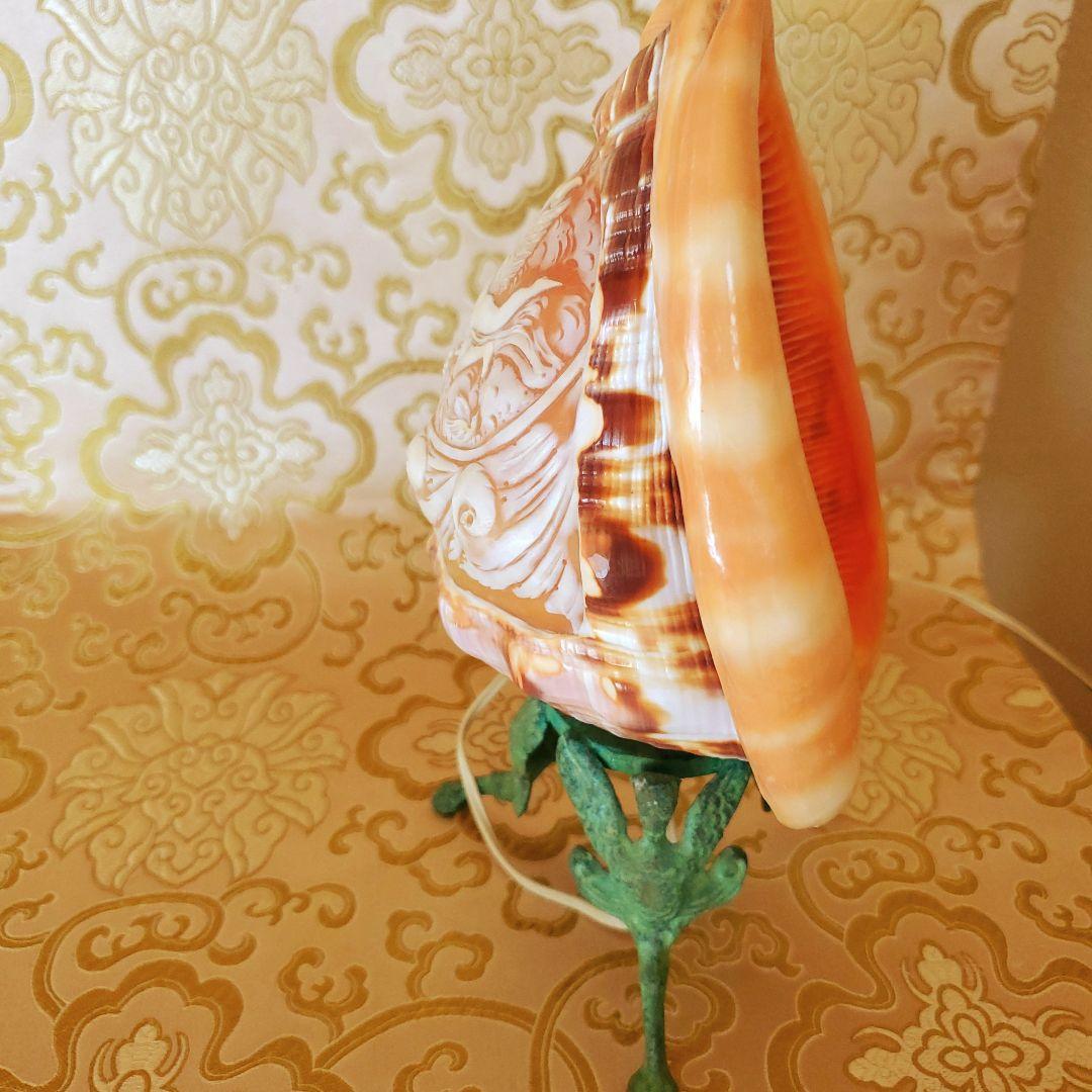 シェルカメオランプ