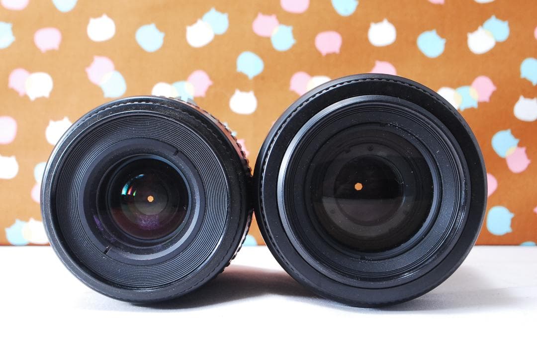 ✨超豪華新品級✨ショット数1748回✨Nikon D50 ダブルレンズセット