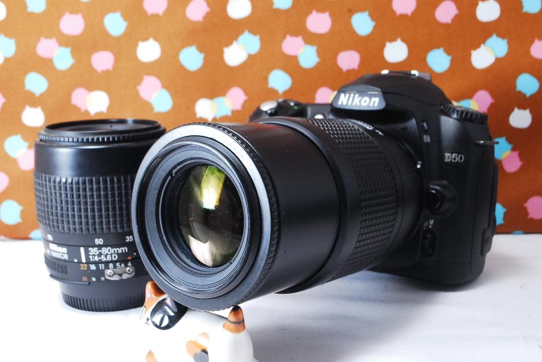 ✨超豪華新品級✨ショット数1748回✨Nikon D50 ダブルレンズセット