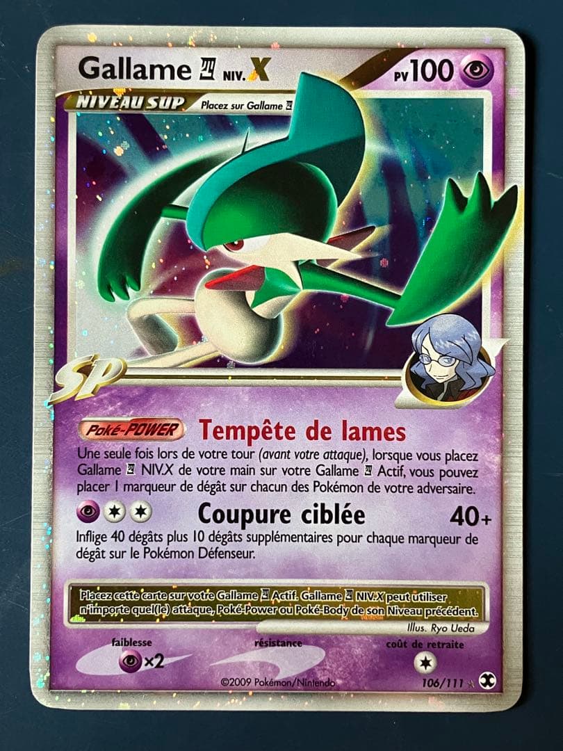 Gallame NIV. X 106/111 フランス語