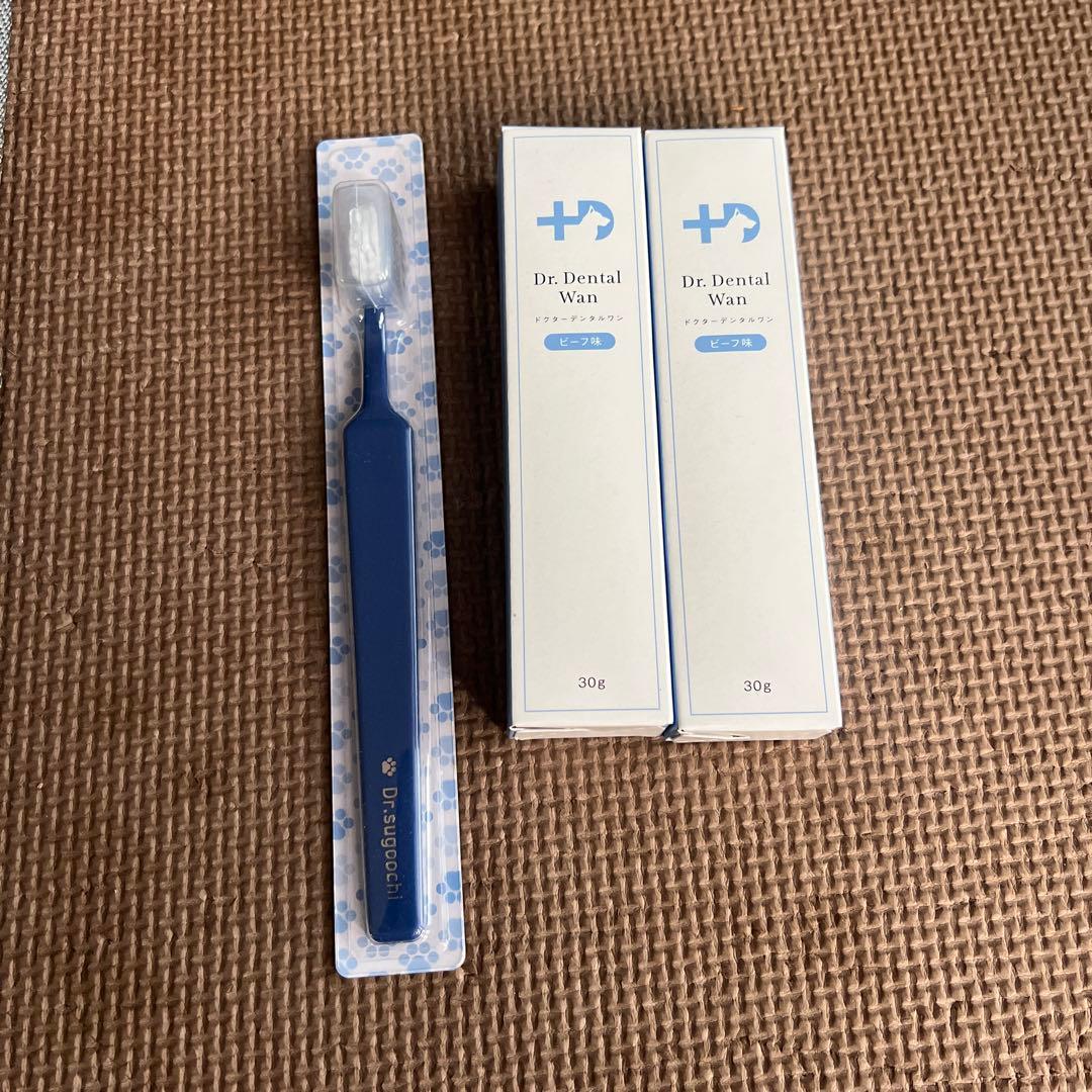Dr. Dental Wan 歯ブラシ ビーフ味 2本セット