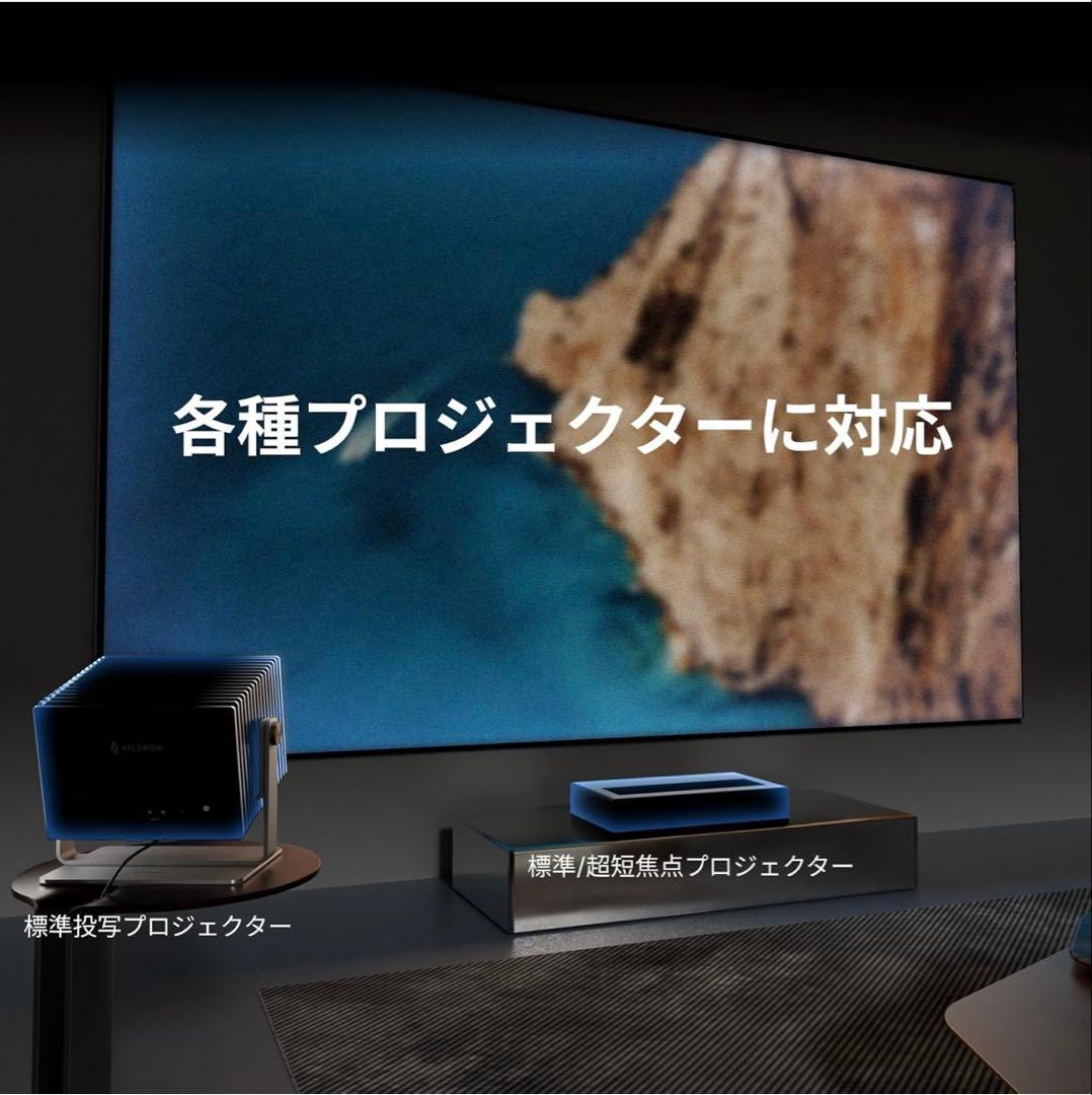 Valerion 100インチスクリーン