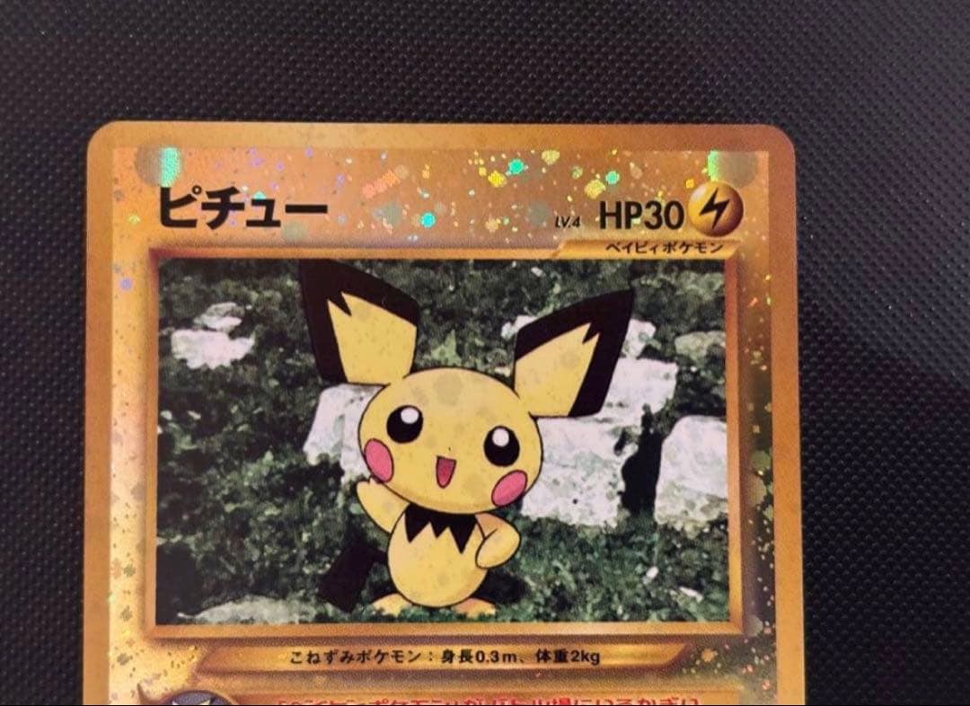 旧裏　極美品〜美品　ブラッキー　エーフィ　エンテイ　ピチュー　プレミアムファイル