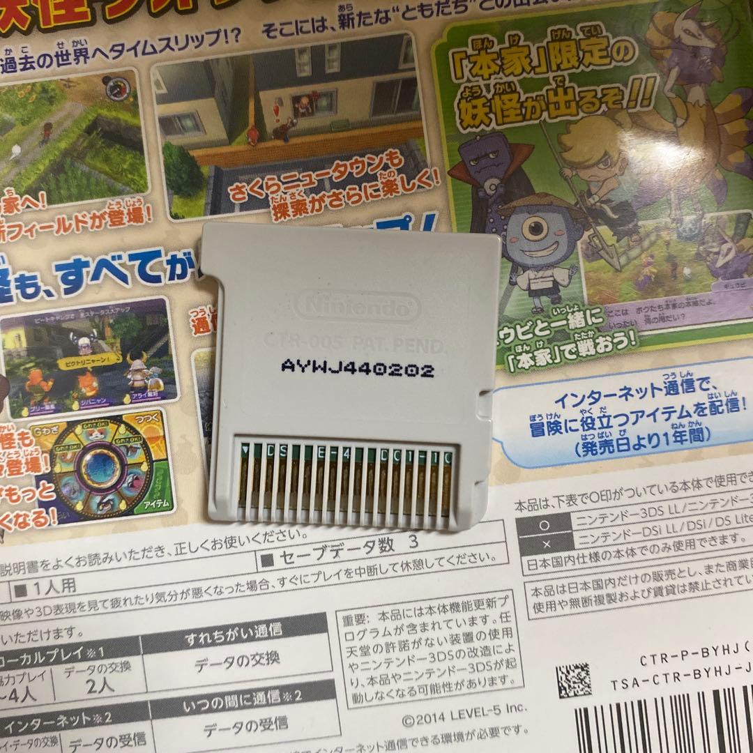 ドラゴンワタル出品